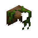 Backwater Cloak