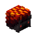 Pet Skin Hedgehog Burning