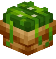 Edible Seaweed
