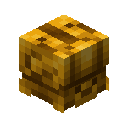 Ancient Turtle Skin
