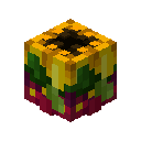 Helianthus Relic