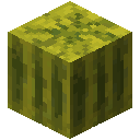Melon Helmet