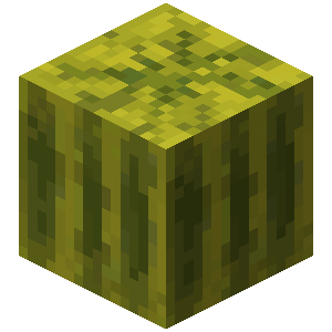 Melon Barn Skin