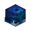 Midnight Dolphin Skin