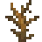 Mysterious Crop