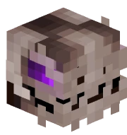 Undead Ender Dragon Skin