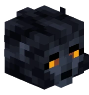 Black Lion Skin