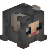 Gray Sheep Skin