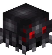 Black Widow Spider Skin