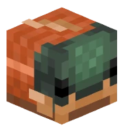Salmon Hat