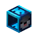 Seal Ring