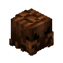 Shriveled Wasp