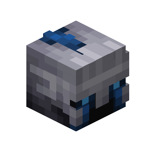 Paladin Skin