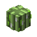 Speed Artifact