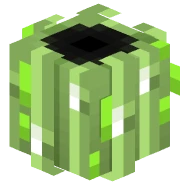 Speed Ring