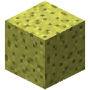 Sponge Helmet