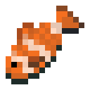 Century the Fish