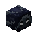 Wither Goggles