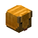 Armadillo Pet