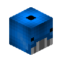 Blue Whale Pet