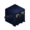 Crow Pet