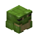Frog Pet