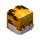Golden Dragon Pet