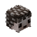 Hedgehog Pet