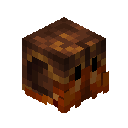Hermit Crab Pet