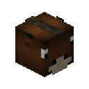 Horse Pet