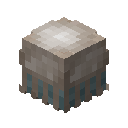 Jellyfish Pet