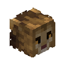 Lion Pet