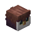 Owl Pet