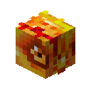Phoenix Pet