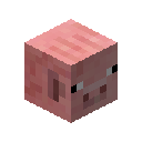 Pig Pet