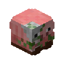 Pigman Pet