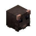 Rat Pet