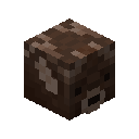 Reindeer Pet