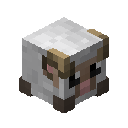 Sheep Pet