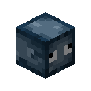 Squid Pet